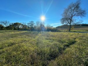 Vue Terrain Domaine Combelasse